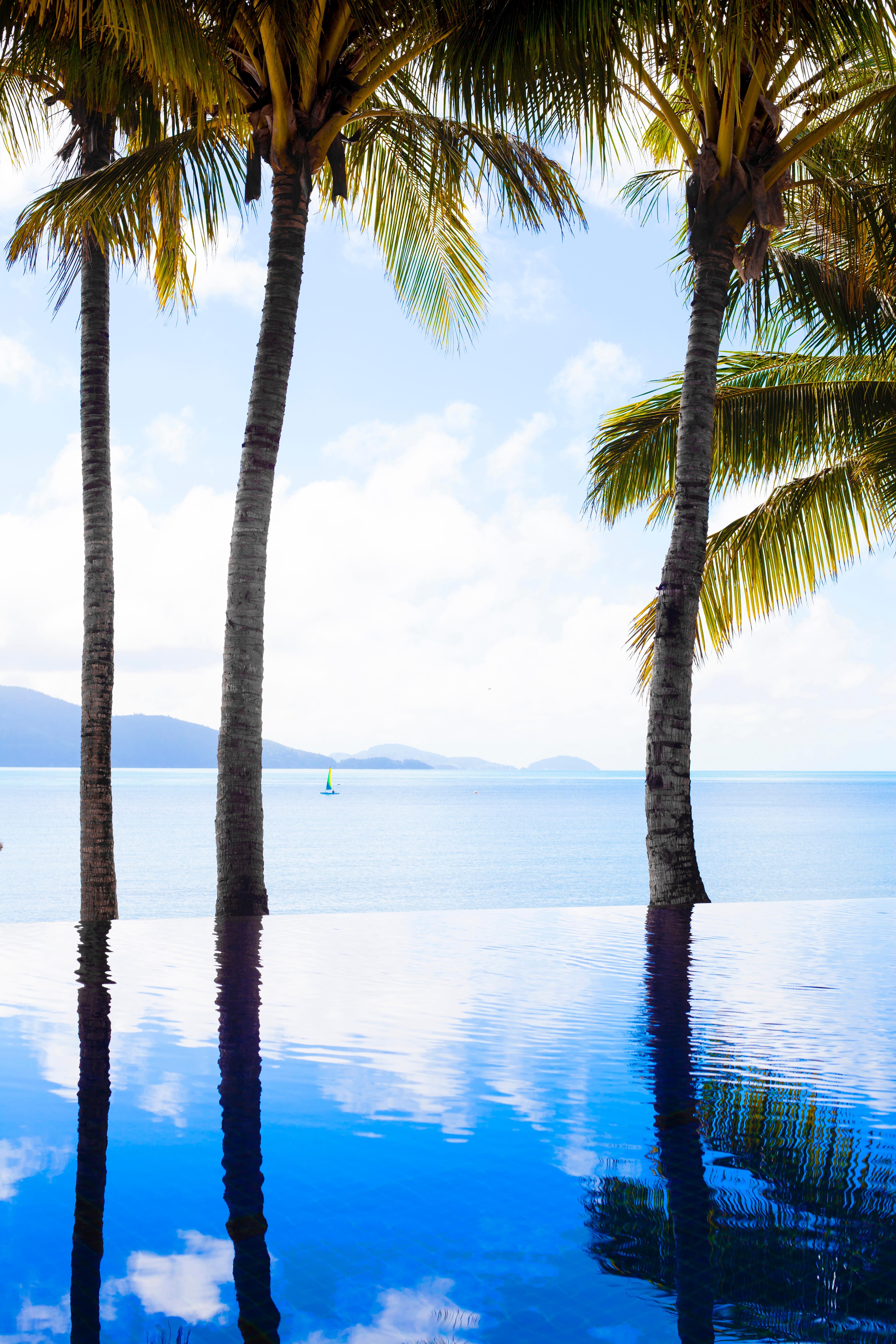 Beach Club (Adults Only) Hamilton Island Bagian luar foto