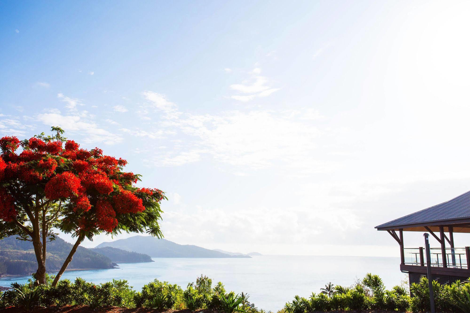 Beach Club (Adults Only) Hamilton Island Bagian luar foto