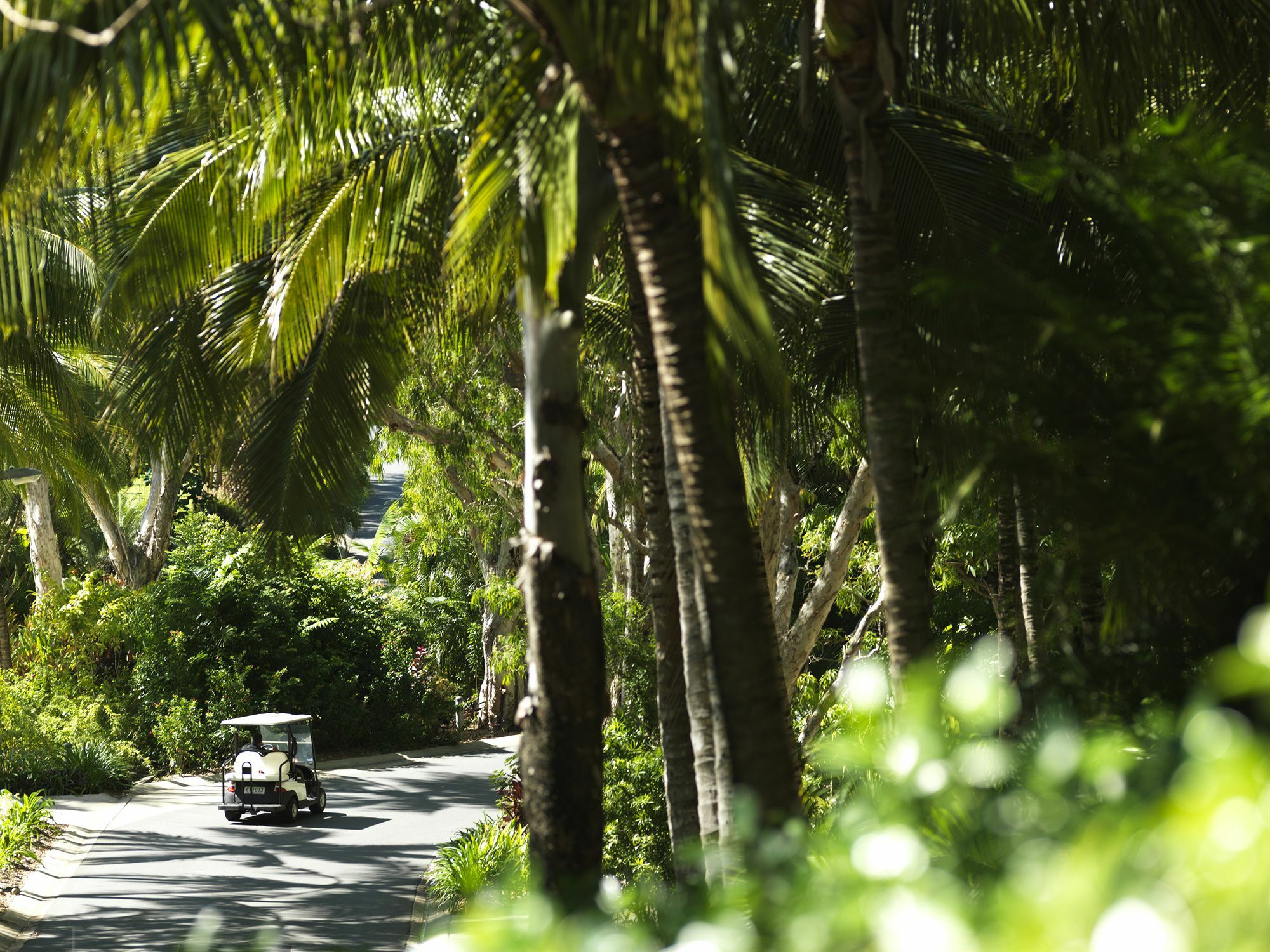 Beach Club (Adults Only) Hamilton Island Bagian luar foto